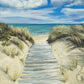 Enjoy the Beauty on your Broken Path Seashore