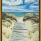Enjoy the Beauty on your Broken Path Seashore