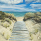 Enjoy the Beauty on your Broken Path Seashore