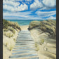 Enjoy the Beauty on your Broken Path Seashore