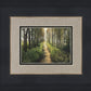 Enjoy The Beauty On Your Broken Path, Forest Walkway