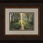 Enjoy The Beauty On Your Broken Path, Forest Walkway