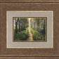 Enjoy The Beauty On Your Broken Path, Forest Walkway