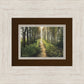 Enjoy The Beauty On Your Broken Path, Forest Walkway