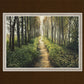 Enjoy The Beauty On Your Broken Path, Forest Walkway