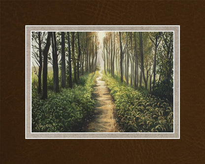 Enjoy The Beauty On Your Broken Path, Forest Walkway