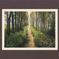 Enjoy The Beauty On Your Broken Path, Forest Walkway