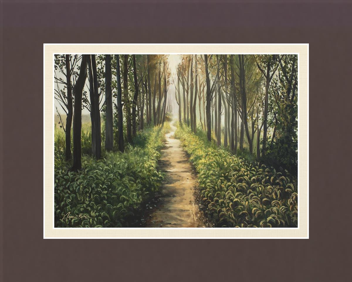 Enjoy The Beauty On Your Broken Path, Forest Walkway