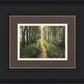 Enjoy The Beauty On Your Broken Path, Forest Walkway
