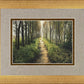 Enjoy The Beauty On Your Broken Path, Forest Walkway