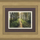 Enjoy The Beauty On Your Broken Path, Forest Walkway