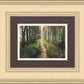 Enjoy The Beauty On Your Broken Path, Forest Walkway