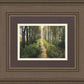 Enjoy The Beauty On Your Broken Path, Forest Walkway