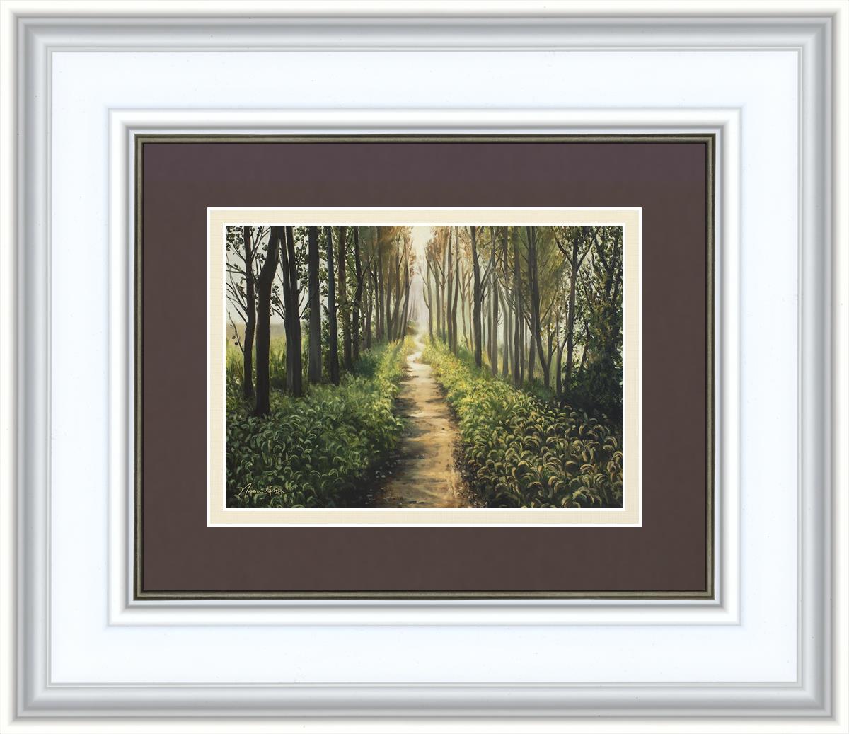 Enjoy The Beauty On Your Broken Path, Forest Walkway