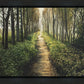 Enjoy The Beauty On Your Broken Path, Forest Walkway