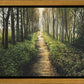 Enjoy The Beauty On Your Broken Path, Forest Walkway