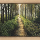Enjoy The Beauty On Your Broken Path, Forest Walkway