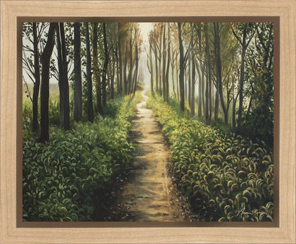 Enjoy The Beauty On Your Broken Path, Forest Walkway