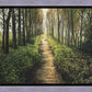 Enjoy The Beauty On Your Broken Path, Forest Walkway