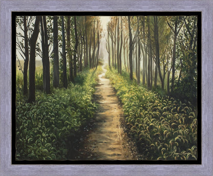 Enjoy The Beauty On Your Broken Path, Forest Walkway