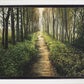 Enjoy The Beauty On Your Broken Path, Forest Walkway