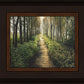 Enjoy The Beauty On Your Broken Path, Forest Walkway