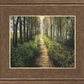 Enjoy The Beauty On Your Broken Path, Forest Walkway