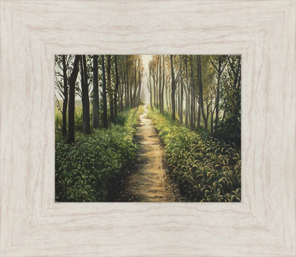 Enjoy The Beauty On Your Broken Path, Forest Walkway