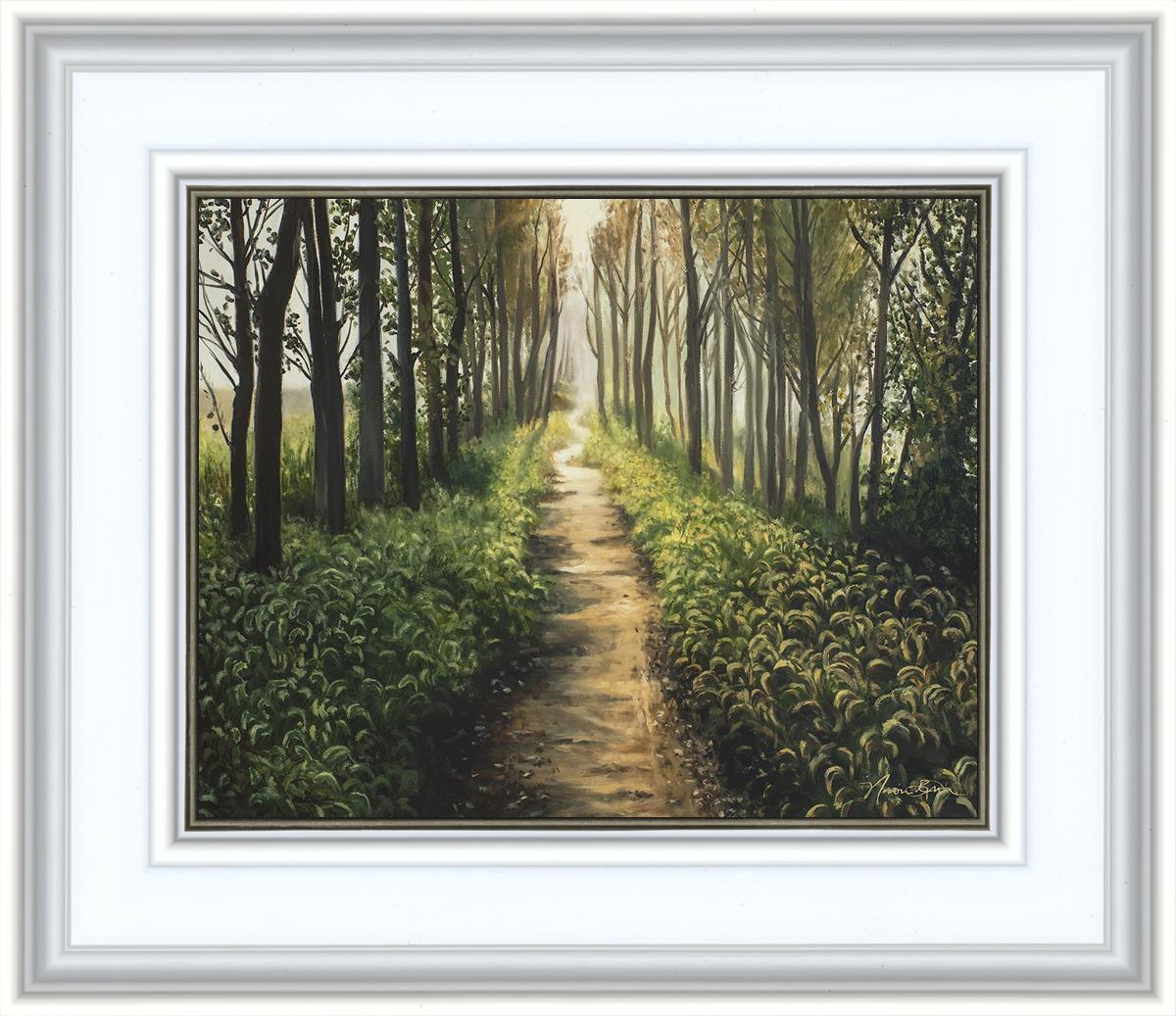 Enjoy The Beauty On Your Broken Path, Forest Walkway