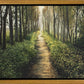 Enjoy The Beauty On Your Broken Path, Forest Walkway