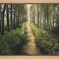 Enjoy The Beauty On Your Broken Path, Forest Walkway