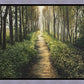 Enjoy The Beauty On Your Broken Path, Forest Walkway