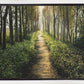 Enjoy The Beauty On Your Broken Path, Forest Walkway