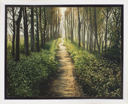 Enjoy The Beauty On Your Broken Path, Forest Walkway