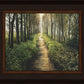 Enjoy The Beauty On Your Broken Path, Forest Walkway
