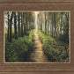 Enjoy The Beauty On Your Broken Path, Forest Walkway