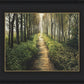 Enjoy The Beauty On Your Broken Path, Forest Walkway