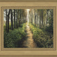Enjoy The Beauty On Your Broken Path, Forest Walkway