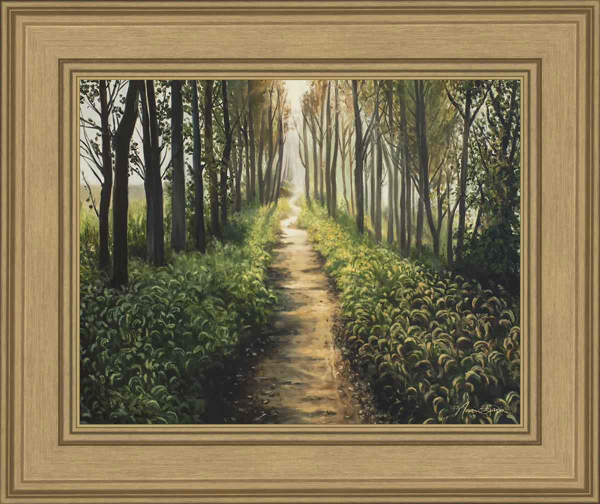 Enjoy The Beauty On Your Broken Path, Forest Walkway