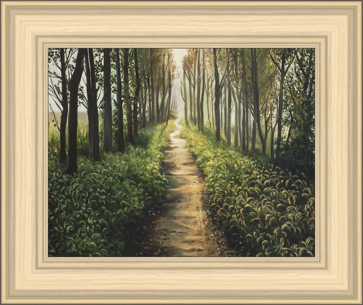 Enjoy The Beauty On Your Broken Path, Forest Walkway