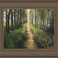 Enjoy The Beauty On Your Broken Path, Forest Walkway