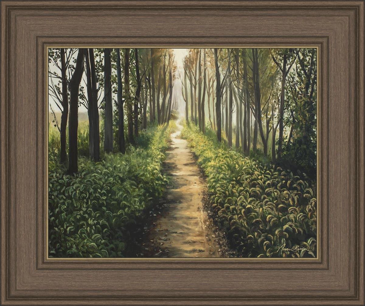 Enjoy The Beauty On Your Broken Path, Forest Walkway