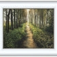 Enjoy The Beauty On Your Broken Path, Forest Walkway