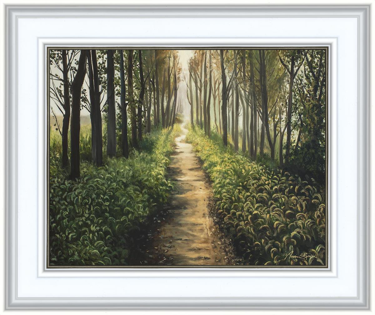 Enjoy The Beauty On Your Broken Path, Forest Walkway