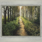 Enjoy The Beauty On Your Broken Path, Forest Walkway