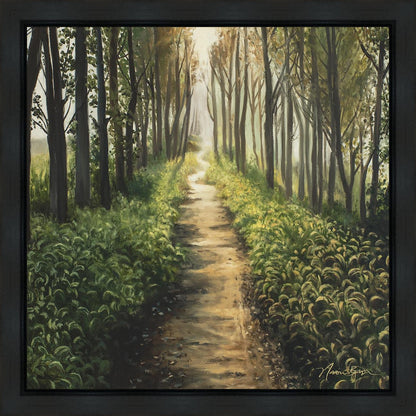 Enjoy The Beauty On Your Broken Path, Forest Walkway