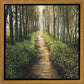 Enjoy The Beauty On Your Broken Path, Forest Walkway