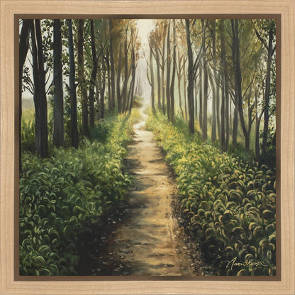 Enjoy The Beauty On Your Broken Path, Forest Walkway