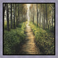 Enjoy The Beauty On Your Broken Path, Forest Walkway