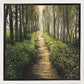 Enjoy The Beauty On Your Broken Path, Forest Walkway